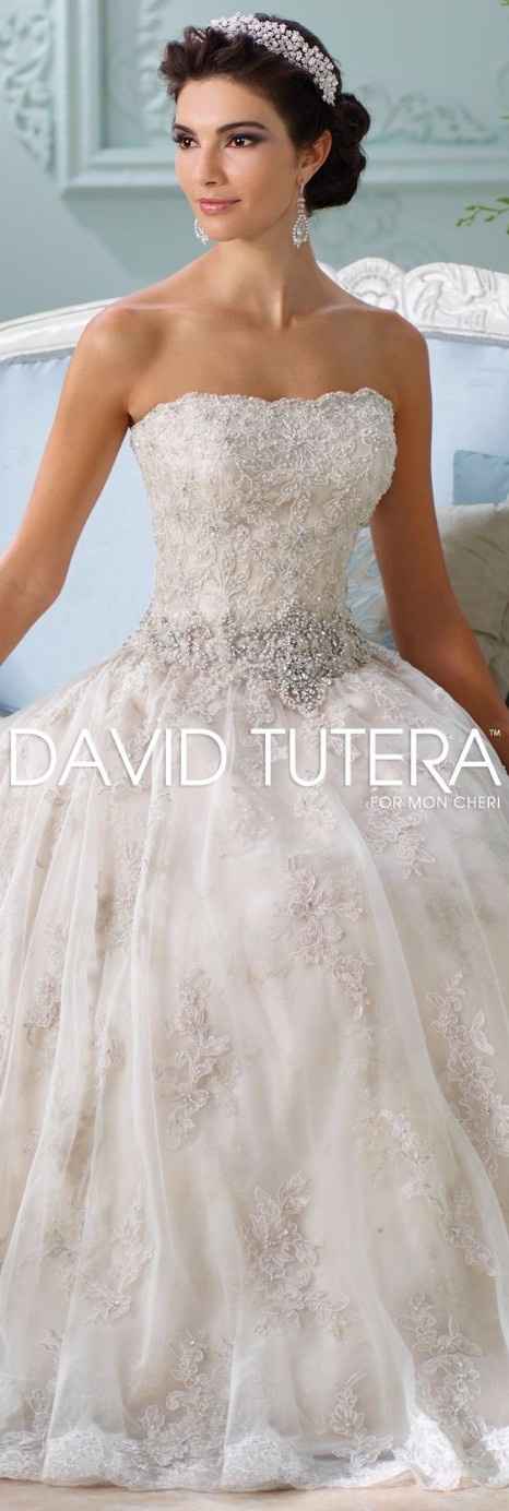 5 David Tutera