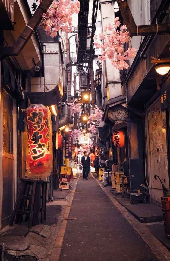 1. Le Japon