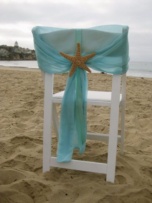 15 Chaises coquillage