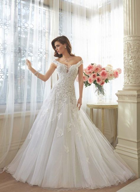 1 Sophia Tolli