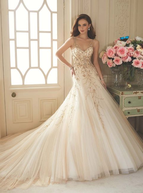 4 Sophia Tolli