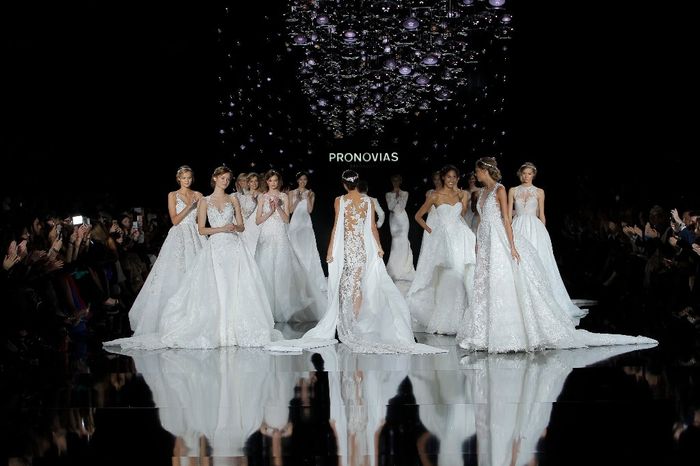 40 Pronovias
