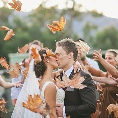 9. Des feuilles