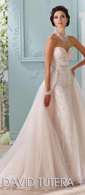 7 David Tutera