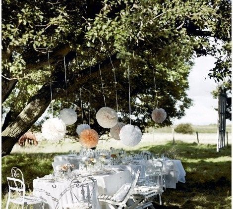 4. Un jardin