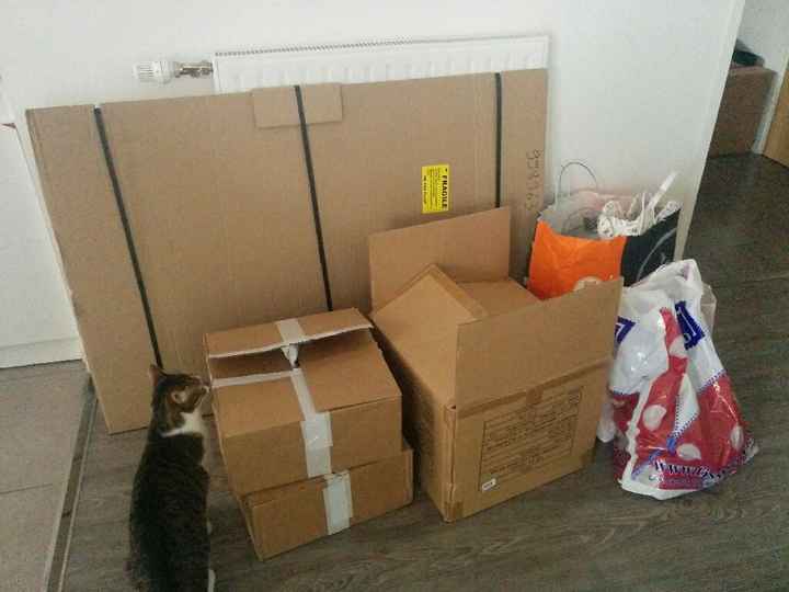 J-7 prêt pour le déménagement qui s'appel MARIAGE ^^ - 1