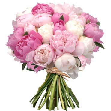 Quel genre de bouquet avez-vous choisi? - 1