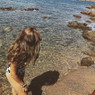 Delphine