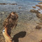 Delphine