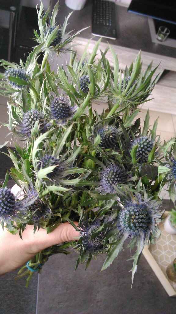  Fleurs de chez "fleursenligne" reçues - 1