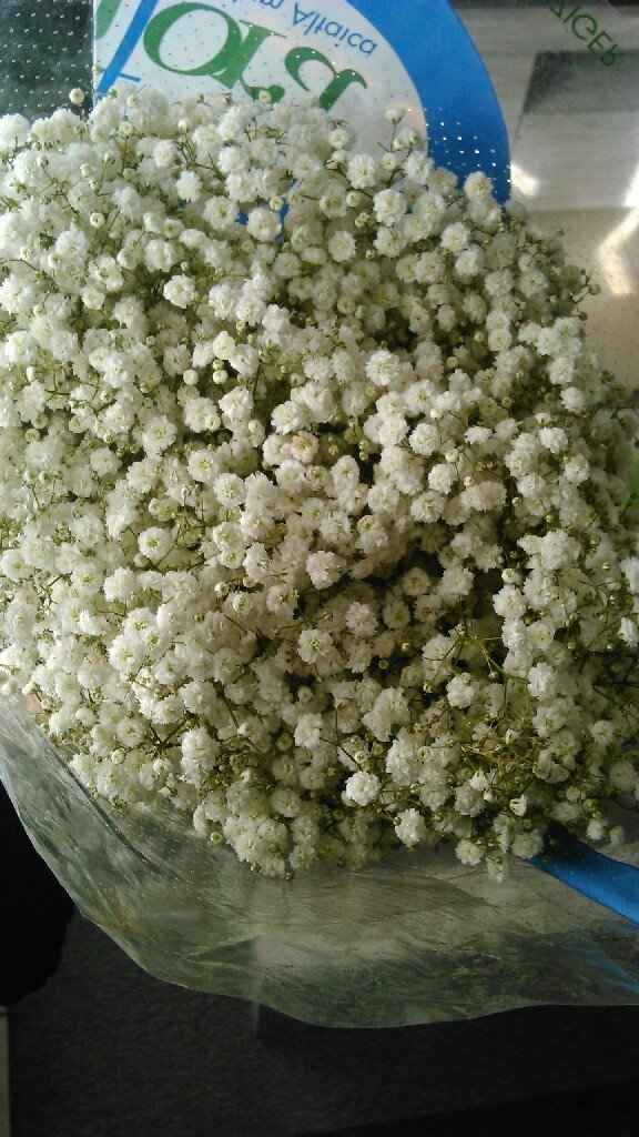  Fleurs de chez "fleursenligne" reçues - 2