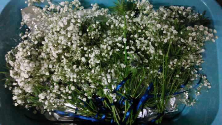  Fleurs de chez "fleursenligne" reçues - 1