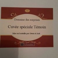 Annonce au témoin - 2