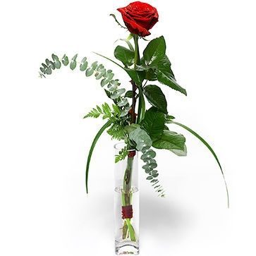 rose pour déco table