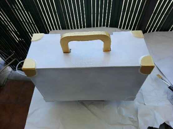 Urne valise - 2