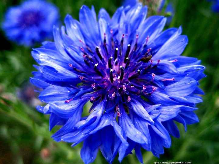 Couleur exacte de mon mariage