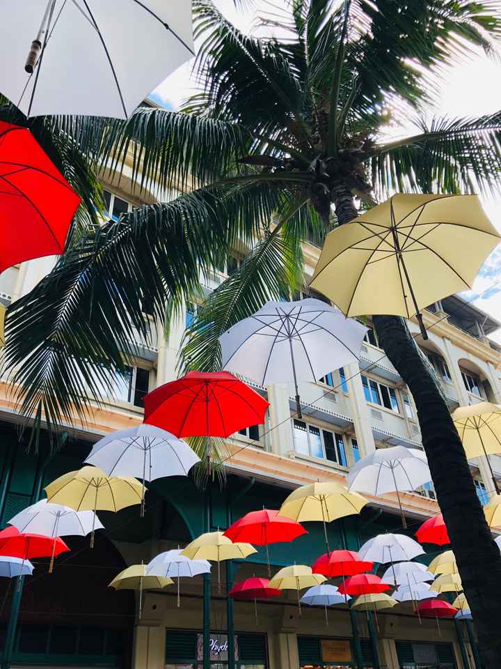 Retour photo île Maurice 🏝 - 11