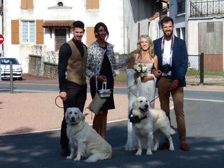 Animaux présents au mariage ? - 1