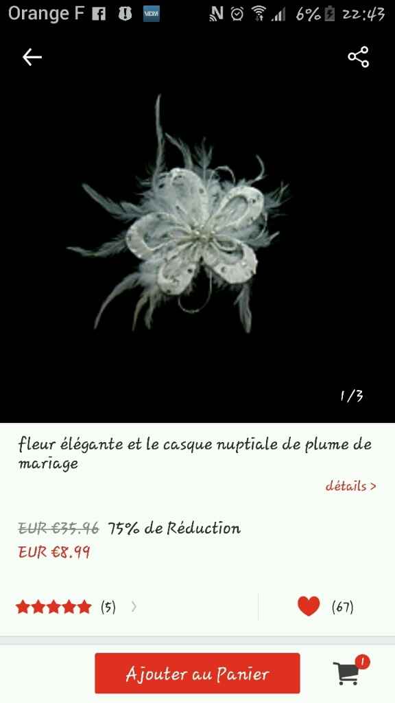 Aucun accessoires pour chignon ! help ! - 1