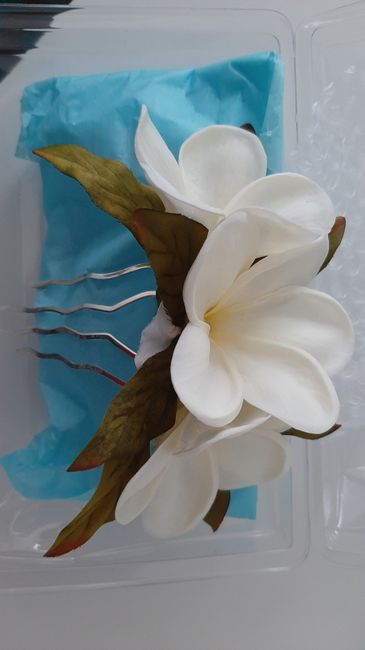 Fleur de frangipanier plumeria - 2