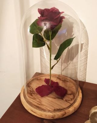 Courses de mariage! 4