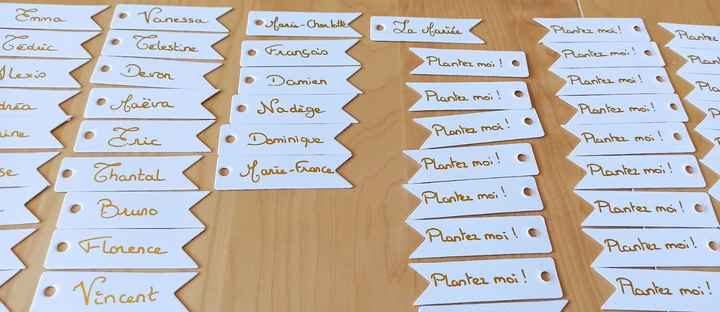 Toujours avancées du mariage de Pauline - 7