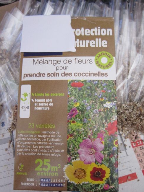 Graines à planter