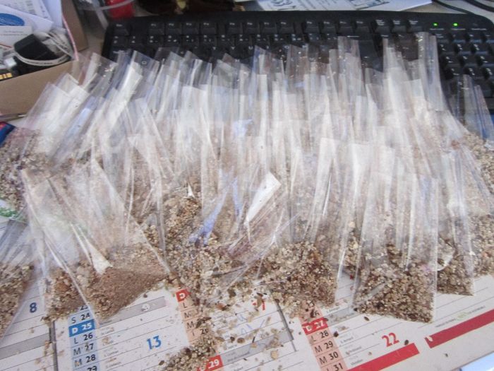 50 sachets de graines à planter