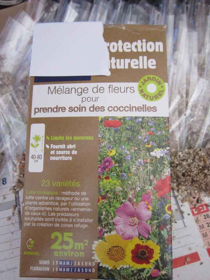 Graines à planter