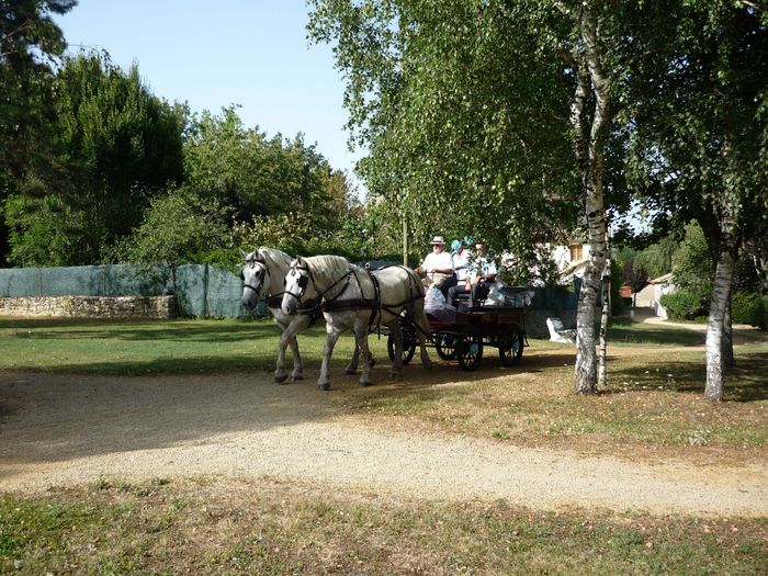 arrivée surprise