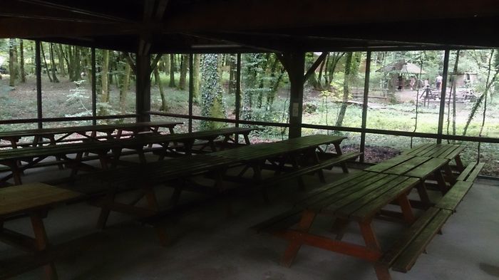 Musée de la Forêt