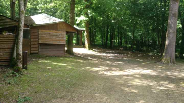 Musée de la Forêt