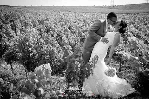 photo dans un champ de vignes!