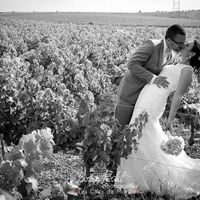 photo dans un champ de vignes!