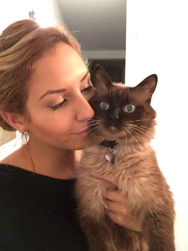 Nos animaux ! - 1