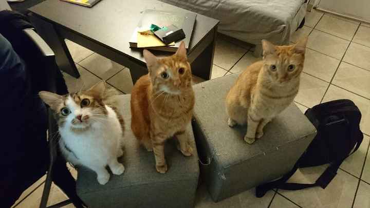 Une aide encombrante .. - 1