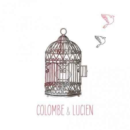  Inspiration Cage à oiseau - 9