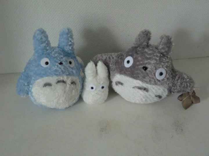 Mes Totoro !