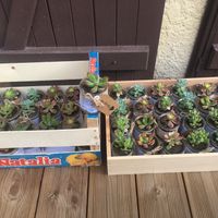 Idée cadeaux invitées - 1