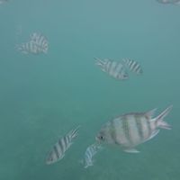 Les Seychelles l’île Maurice - 3