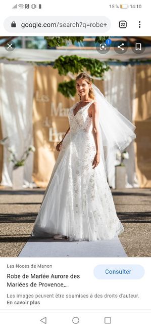 As-tu un modèle de robe à ton nom ? 23