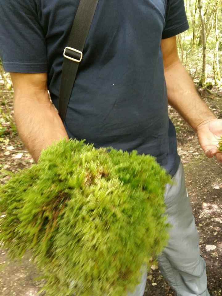 Nos lettres en 3 d et mousse naturelle. - 2