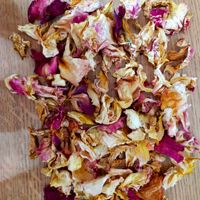 La décoration… par où commencer ? 😱 - 1