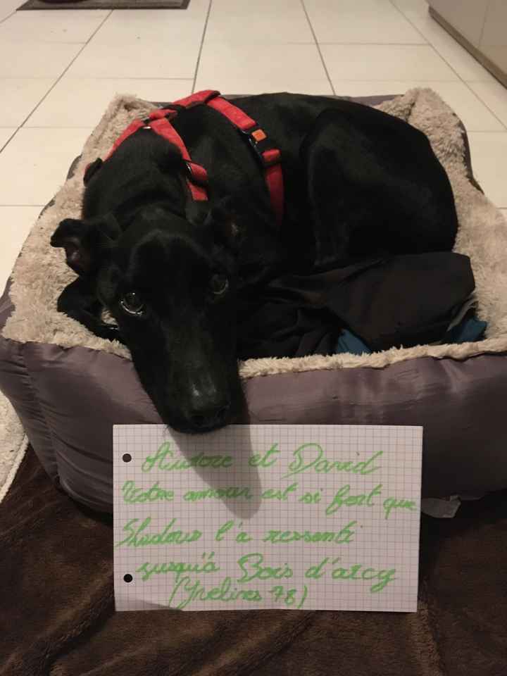 Love note animalier - 1