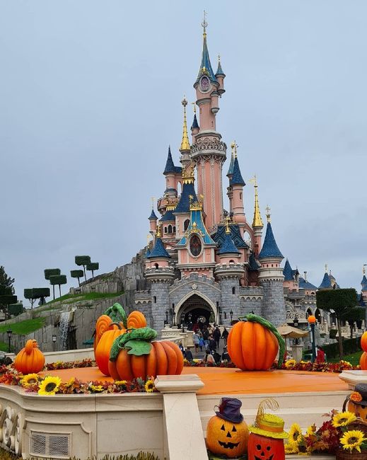 evjf après mariage 4