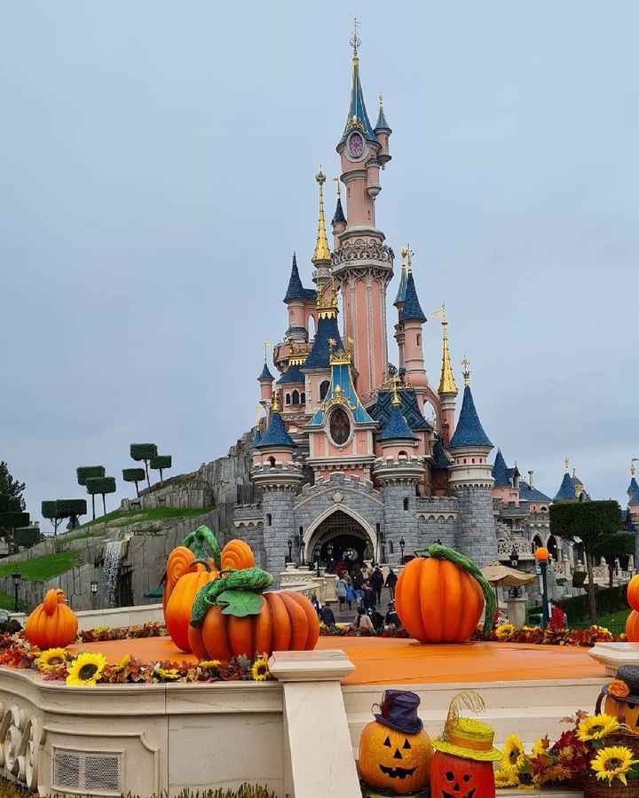 evjf après mariage - 4