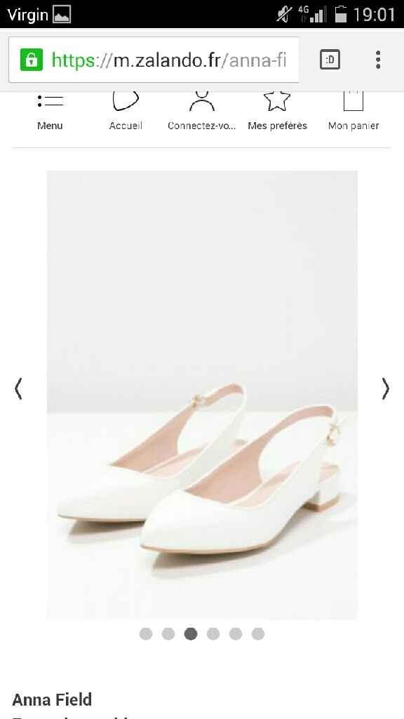 Chaussures casiment plates - 1