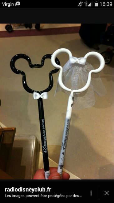 Article de disneyland - 2