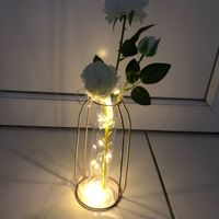 Guirlande led à piles - 1