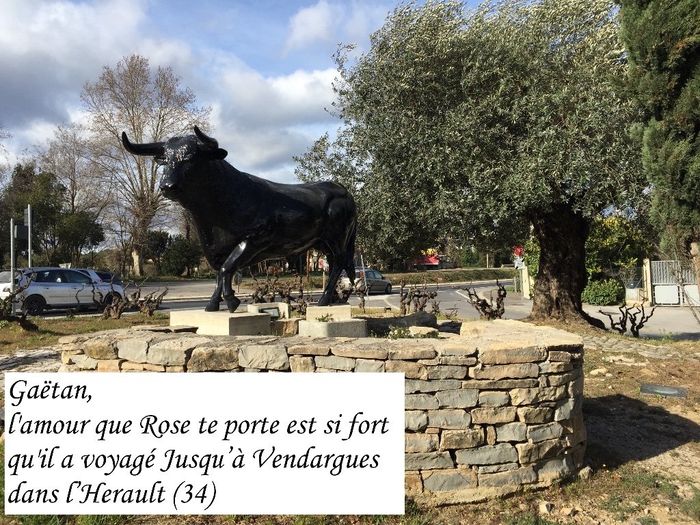 Vendargues(34)